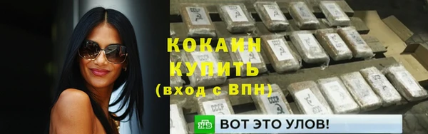 PSILOCYBIN Анжеро-Судженск