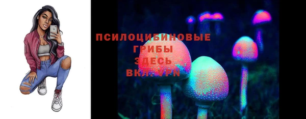 PSILOCYBIN Анжеро-Судженск
