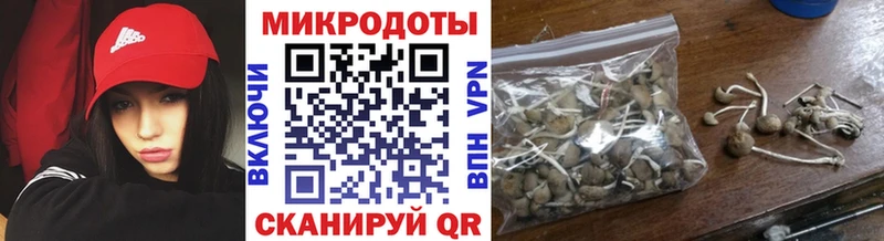 Галлюциногенные грибы мицелий Починок