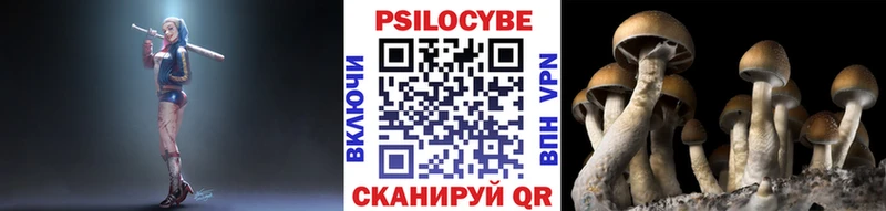 Галлюциногенные грибы Psilocybe  Починок 